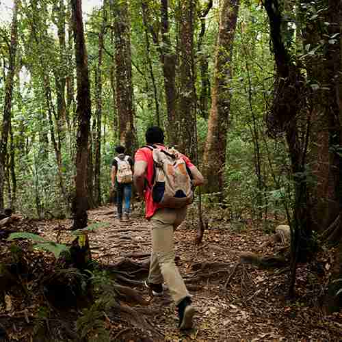 Trekking